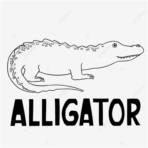 Alligator Outline Clipart Cartoon, Alligator Clipart, Cartoon Clipart ...