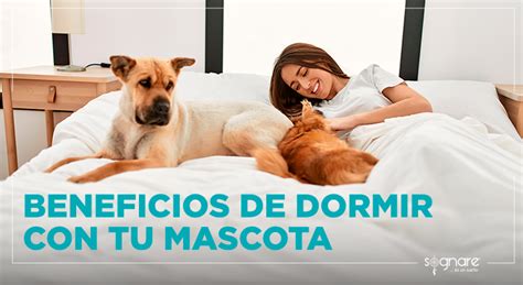 Beneficios De Dormir Con Tu Mascota Blog Sognare