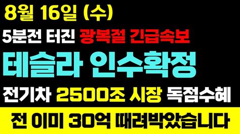 주식 LS 주가전망 8월 15일 화요일 테슬라 인수확정 2500조 잭팟 5분전 터진 광복절 긴급속보 종말이 와도