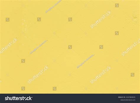 Sami Sheen Over 1 Royalty Free Licensable Stock Photos Shutterstock