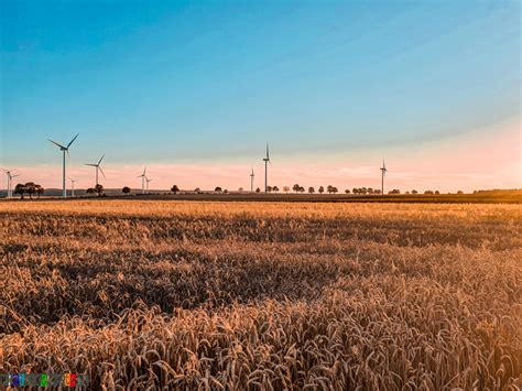 Ścieżka rowerowa Swarzewo Krokowa