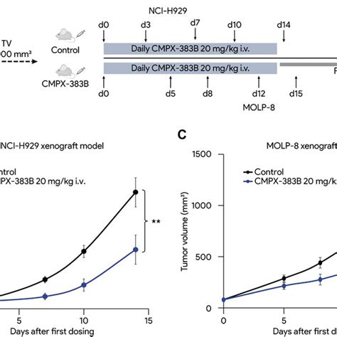 In Vivo Antitumor Effect Of Cmpx B In A Mm Xenograft Model A