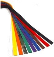 ATA Color Belts / Ranks - American Taekwondo Association of Valdosta