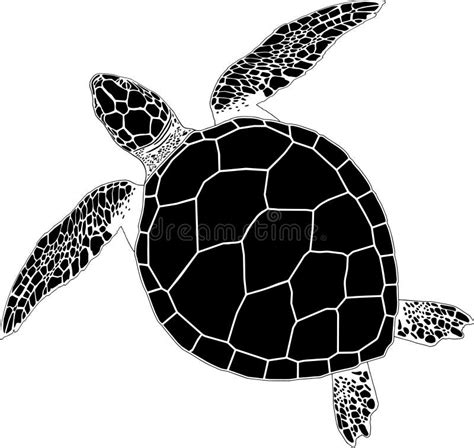 Tortuga Grande Dibujo Del Contorno P Gina Que Colorea Ilustraci N