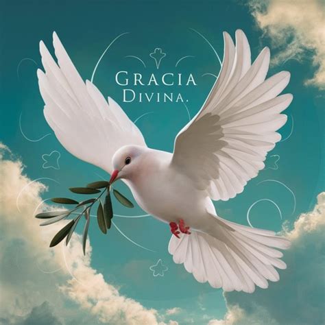 Gracia Divina Youtube