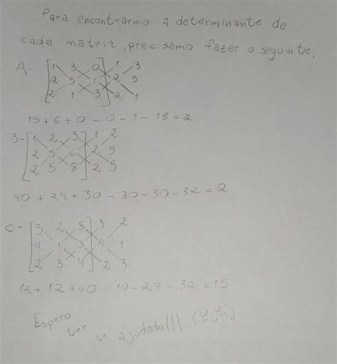 Calcule A Determinante Das Seguintes Matrizes Brainly Br