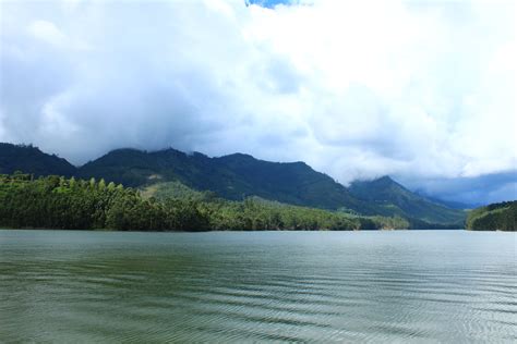 Scenic Munnar