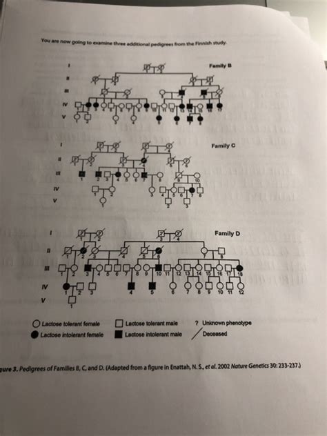 Solved Are Now Going To Examine Three Additional Pedigrees Chegg