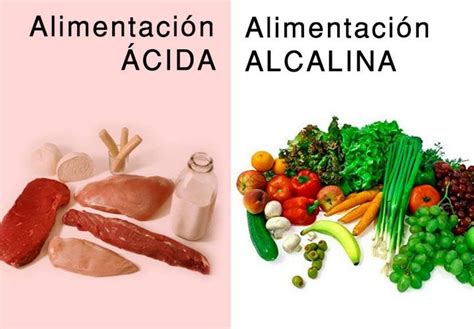 Alimentos ácidos Y Alcalinos La Guía De Las Vitaminas