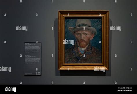 Rijksmuseum Vincent Van Gogh Immagini E Fotografie Stock Ad Alta