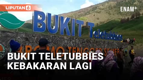 Berita Bukit Teletubies Gunung Bromo Terbakar Hari Ini Kabar Terbaru