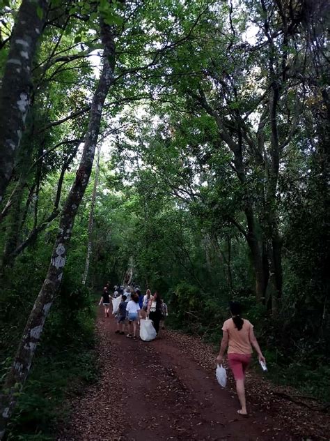 Ni Os Y Adultos Participaron De La Jornada De Plogging En La Reserva