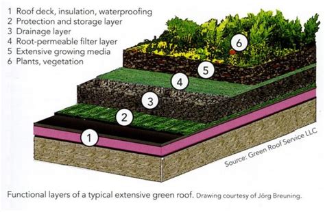 Green Roofs Fairconditioning