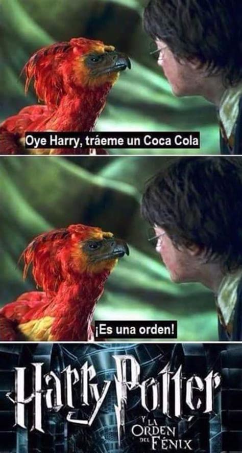 V El Fenix Y Su Orden Meme Subido Por SebaXD07 Memedroid