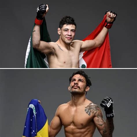 Brandon Moreno Vs Alexandre Pantoja 2 In Works For Ufc 290 Rufc