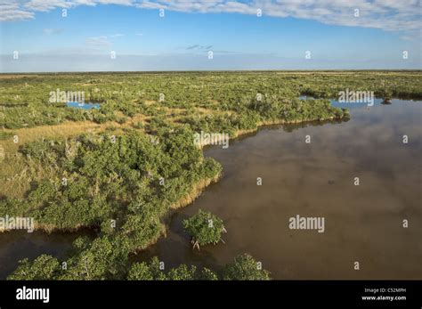 Enp Everglades National Park Stock Photo Alamy