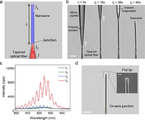 3D Nanoprinting Of A Nanoprobe A Schematic Illustration Of A