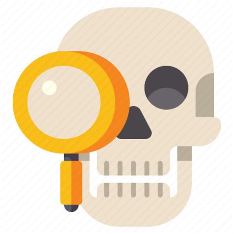 Anthropology Human Museum Skull Icon Download On Iconfinder