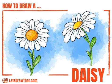 Daisy Drawing