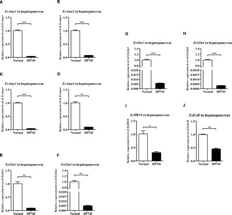 Frontiers Inhibited Expression Of Amylases And Cellulases In Crabs