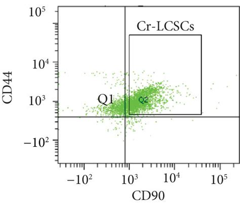 The Isolation And Continuous Culture Of Cr Lcscs Obtained From A549 Cr Download Scientific