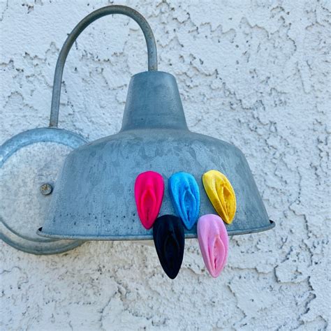 Pussy Magnet Stick On Magnetic Vulva Prank Gag Gift Novelty Etsy