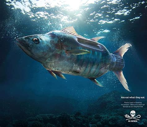 Hilarious And Clever Print Advertisements Sea Shepherd Fish