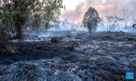 Peatland Fire Breaks Out At Bukit Tunggal Village In Indonesia Global