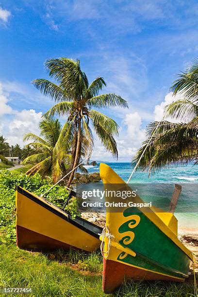 Barbados Climate Photos And Premium High Res Pictures Getty Images