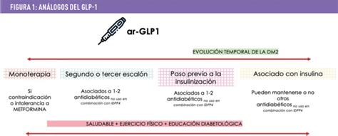 Análogos de GLP 1 en diabetes tipo 2 Cuándo utilizarlos y en qué tipo