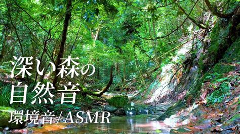 【自然環境音asmr】森の水辺で感じる木漏れ日、鳥のさえずり、セミの声猪の滝 癒しのリラックス時間・勉強や作業用bgmにも