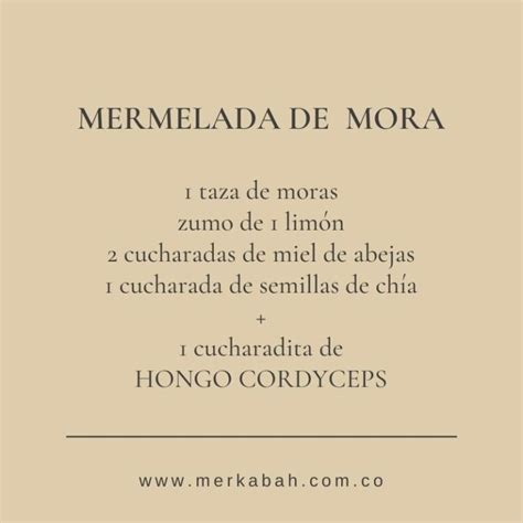 Hongo Cordyceps En Polvo Merkabah Tienda Online