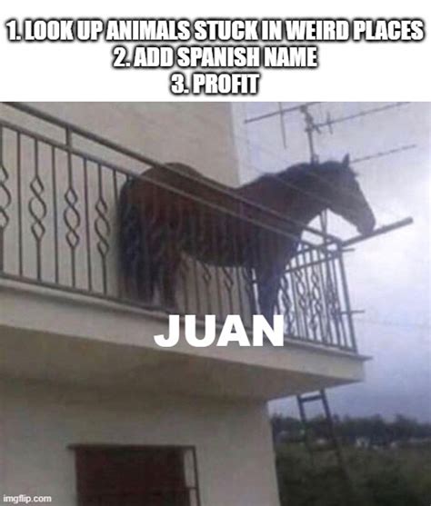 Juan Imgflip