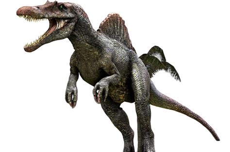 Spinosaurus Jp3 Png By Jakeysamra On Deviantart