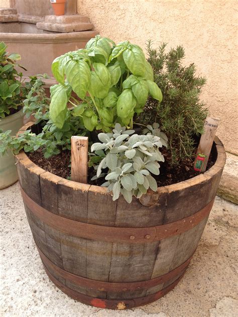 Whiskey Barrel Planter Care Garden Plant