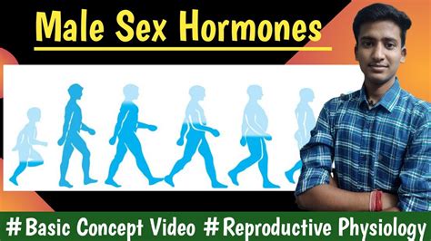 Male Sex Hormones Reproductive Physiology Lectures Mbbs Hindi