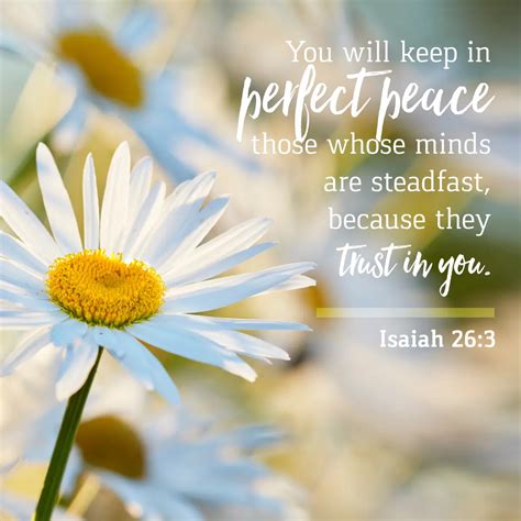 Isaiah 263 Daily Verse Kcis 630