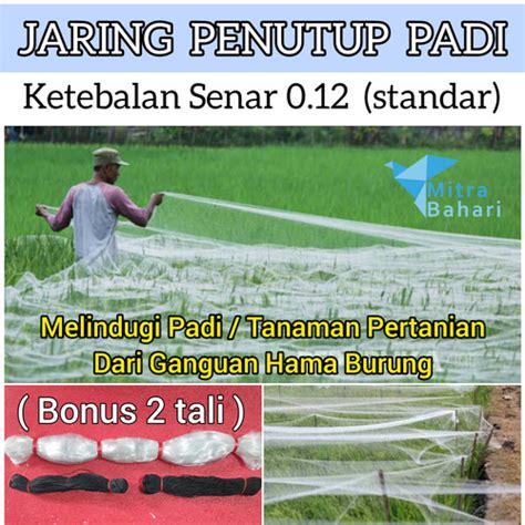 Jual JARING BURUNG SAWAH SENAR 0 12 JARING PENUTUP PADI JARING