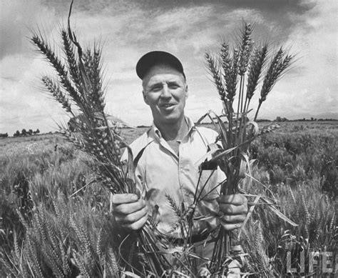 Borlaug Receives Nobel Prize | praythroughhistory