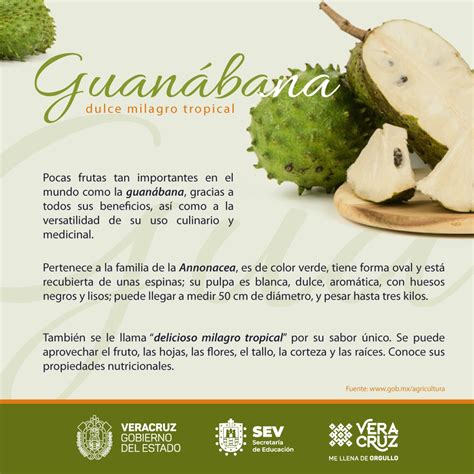 La Guanabana Y Sus Propiedades