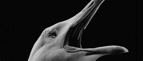 Punkbönen som väckte världen Pussy Riot A Punk Prayer Montages