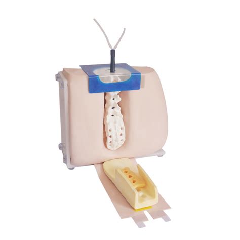 Advanced Medical Lumbar Puncture Training Equipment Model China