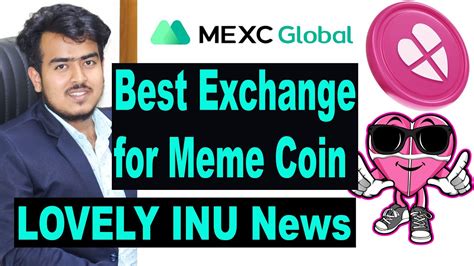 Best Centralized Exchange For Meme Coin Lovely Inu Coin Price