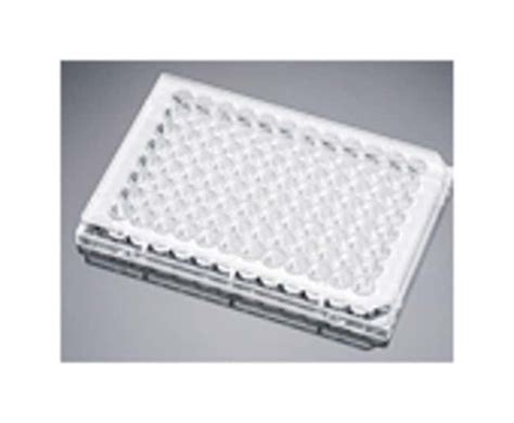 Corning Biocoat Well Poly D Lysine Treated Flat Bottom Microplate