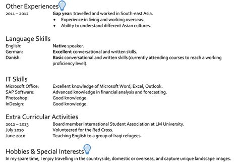 Denmark CV Sample Page 2 CareerProfessor Works