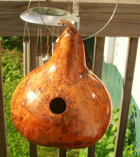 Large Stained Gourd Birdhouse By Artsbyssc On Etsy 1000 Gourds