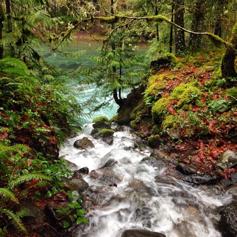 McKenzie Hot Springs Cottage - Home