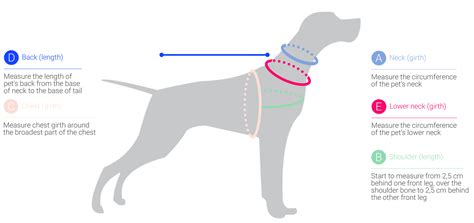 How Do You Measure For A Dog Harness