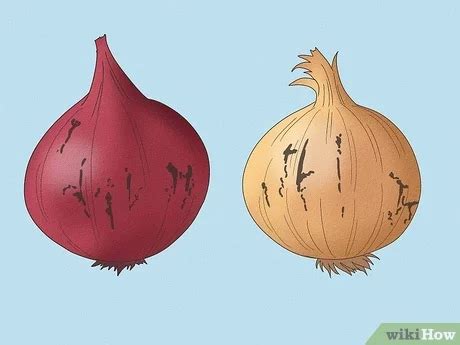 How To Tell If An Onion Is Bad Essential Tips For Freshness Food Readme