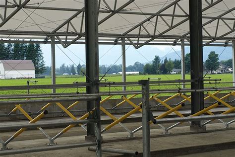 Custom Dairy Barn Design for Cedarbrink Farm Chilliwack BC | Barn ...